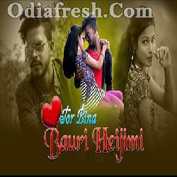 Tor Bina Bauri Heijimi (Diwan,Manvi) New Sambalpuri Song